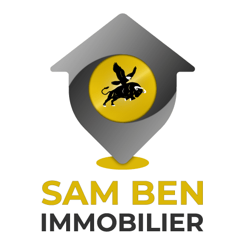 Logo filiale Mr Sam ben